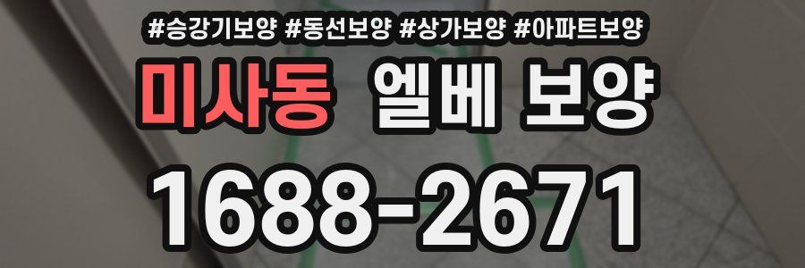 미사동 엘베 보양