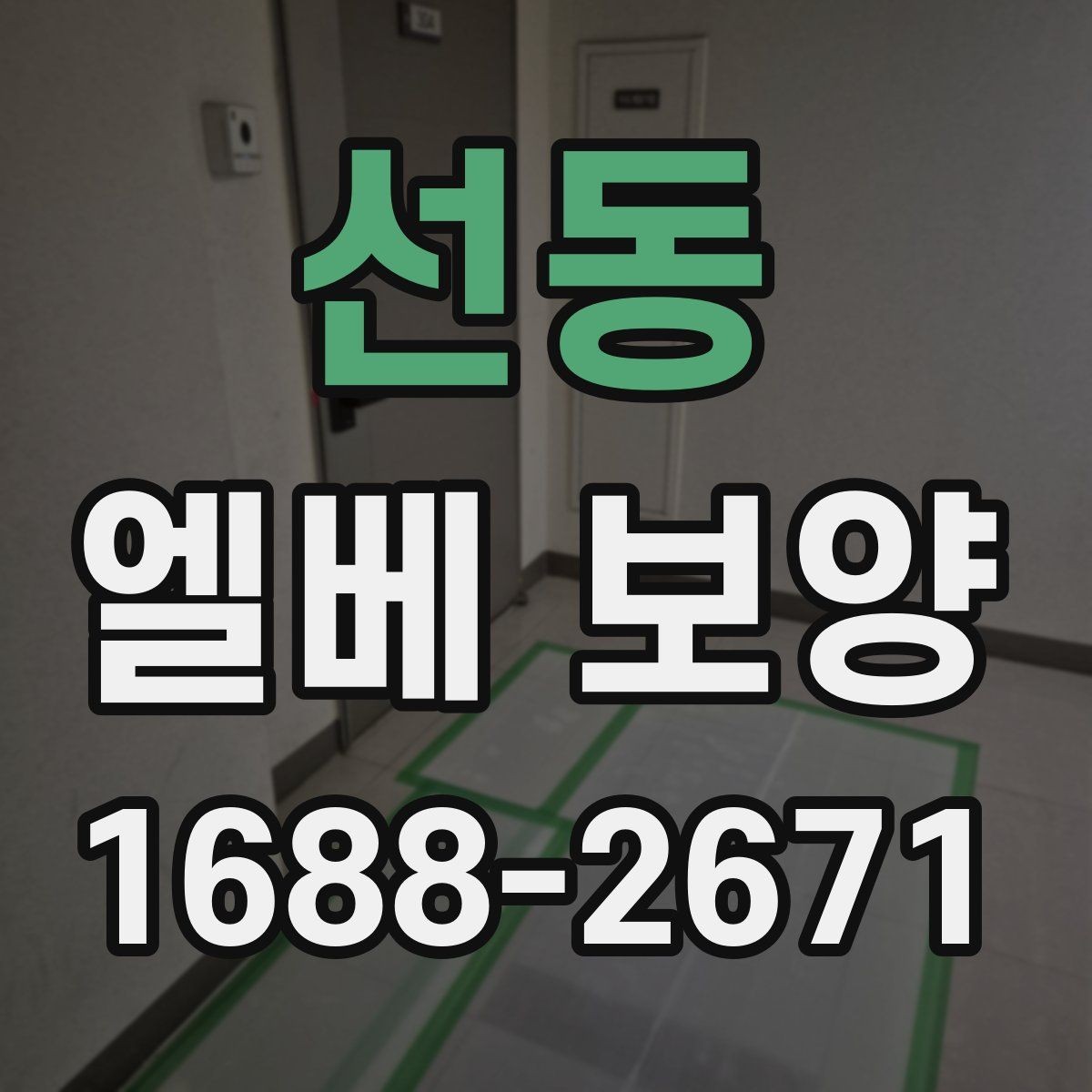선동 엘베 보양 공용부 동선이 겹칠 때 우선 볼 곳