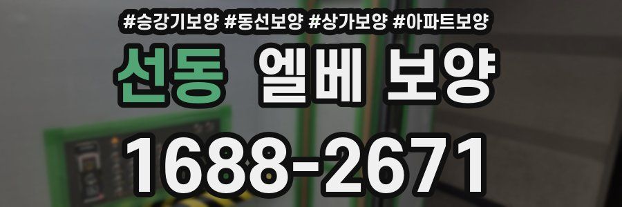 선동 엘베 보양
