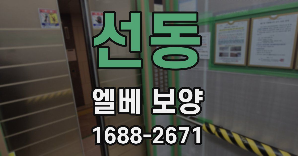 선동 엘베 보양