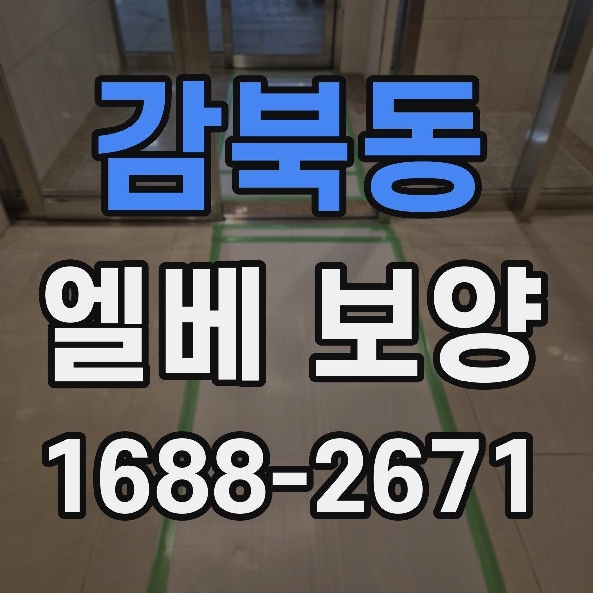 감북동 엘베 보양 현장마다 달라지는 자재 배치와 보호 순서