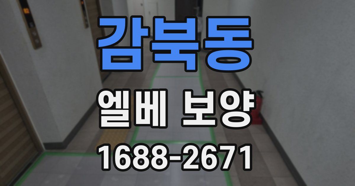 감북동 엘베 보양