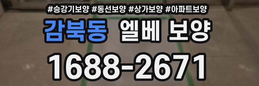 감북동 엘베 보양