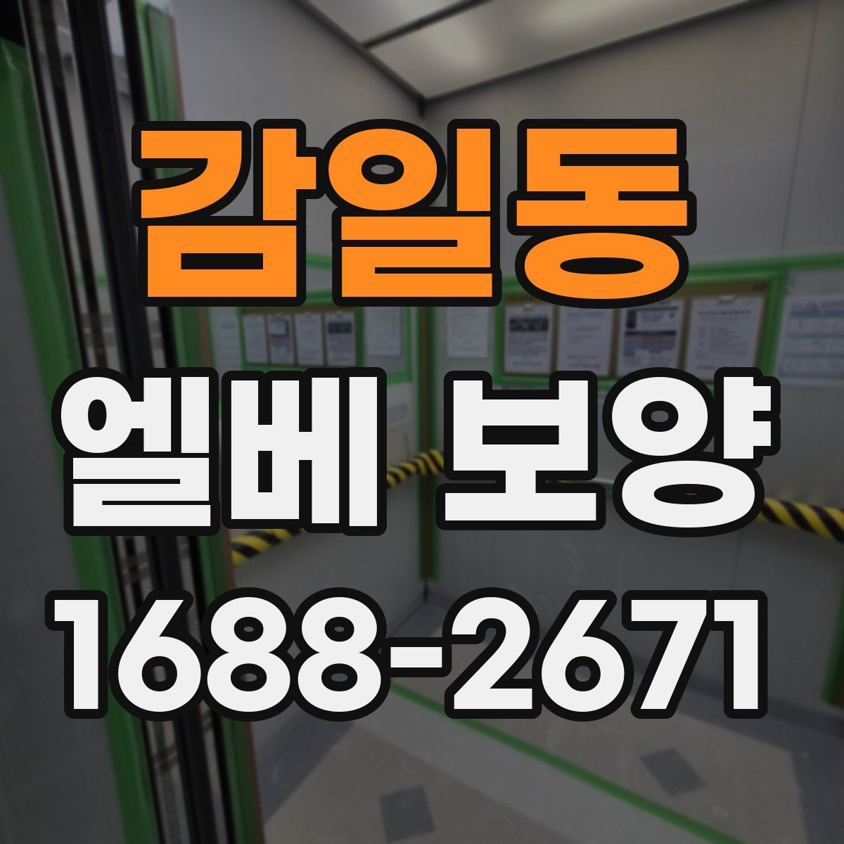 감일동 엘베 보양