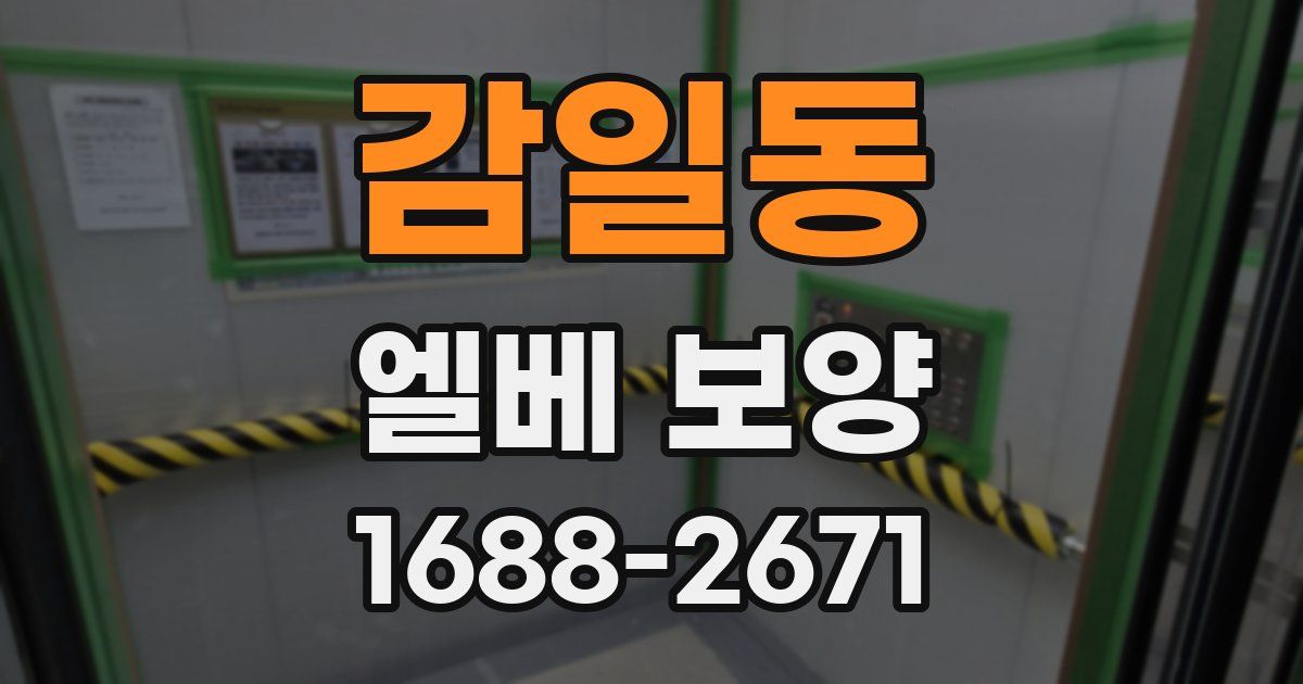 감일동 엘베 보양