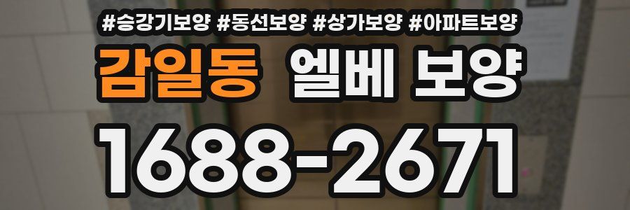 감일동 엘베 보양