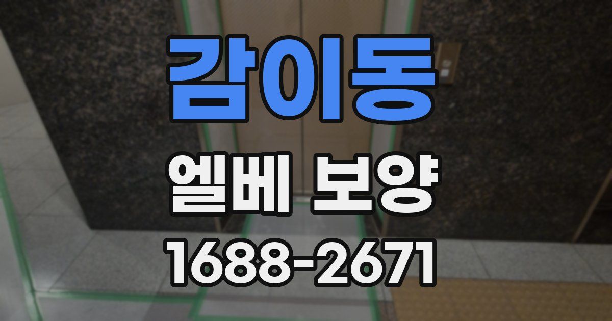 감이동 엘베 보양