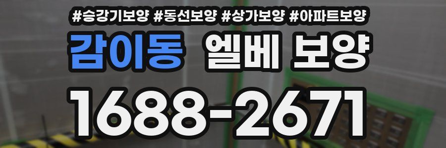 감이동 엘베 보양