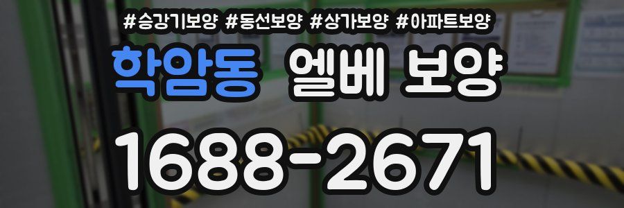 학암동 엘베 보양