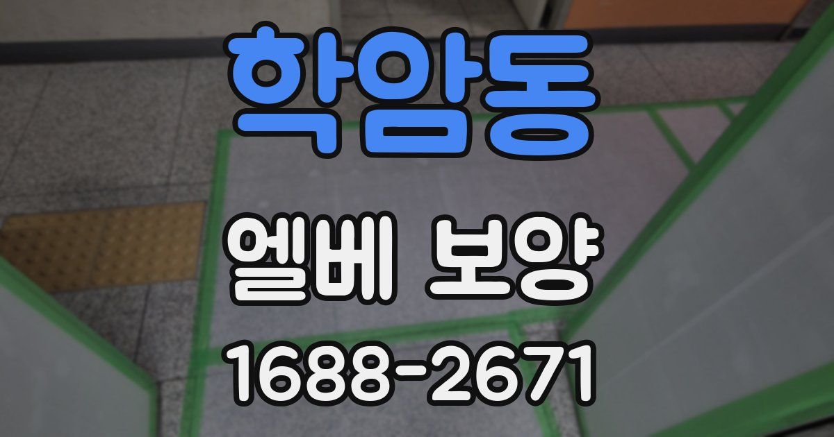 학암동 엘베 보양