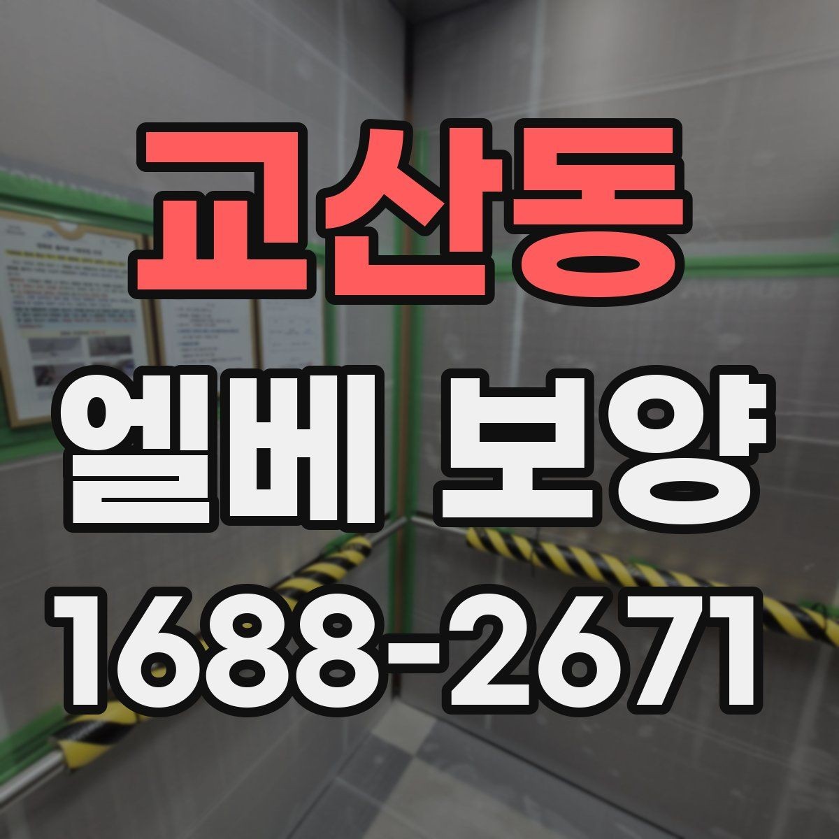 교산동 엘베 보양 문 주변 손상 방지를 위한 확인 항목