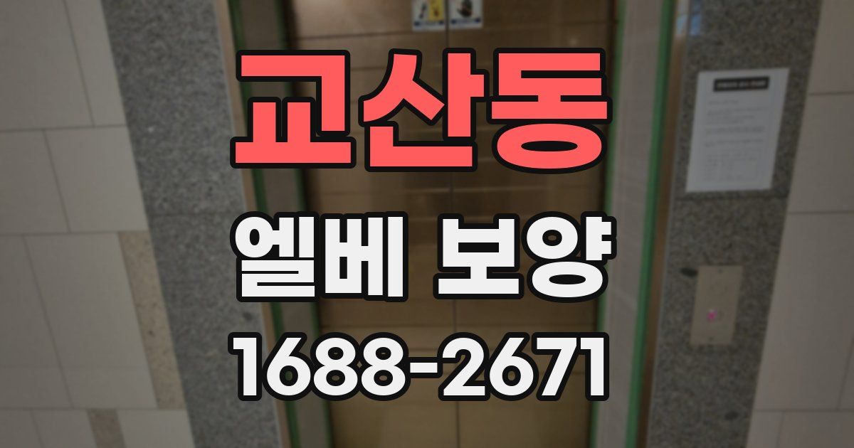 교산동 엘베 보양
