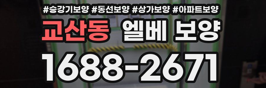교산동 엘베 보양