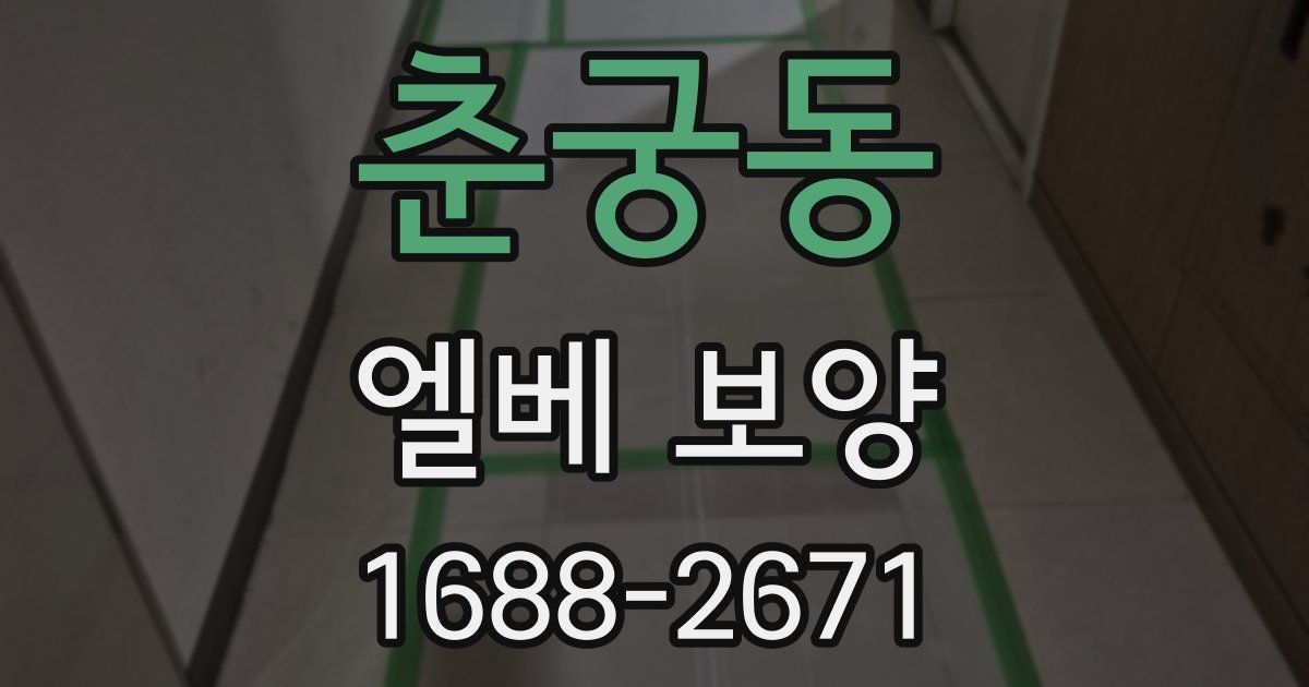 춘궁동 엘베 보양
