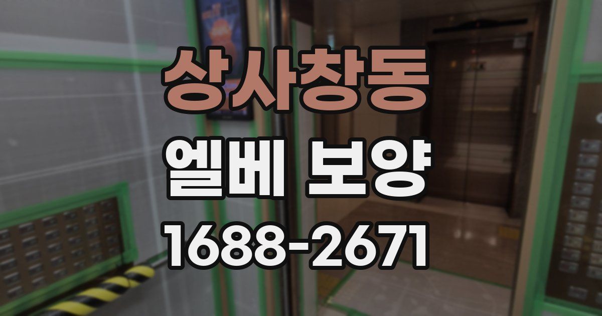상사창동 엘베 보양