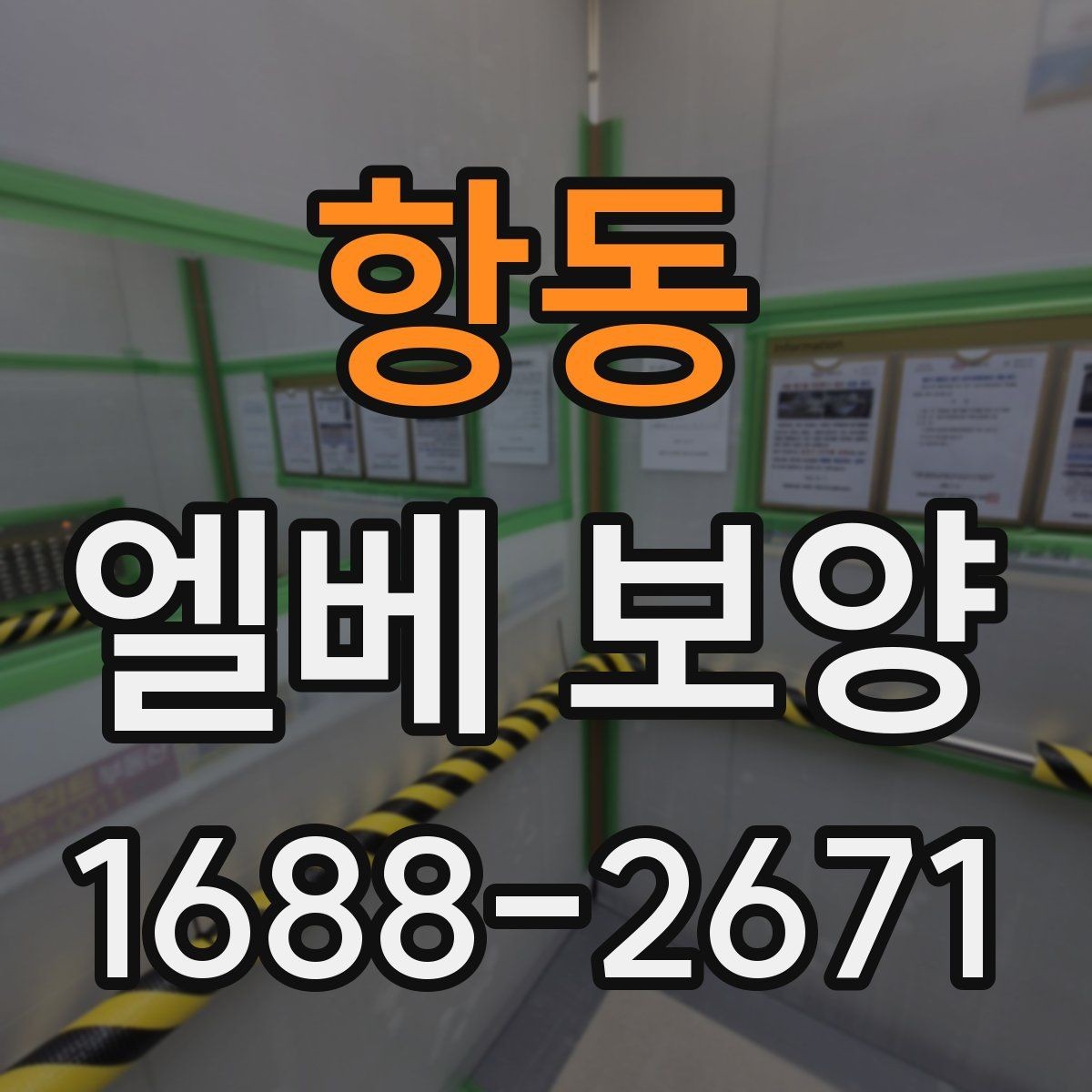 항동 엘베 보양 작업 전후 사진이 필요한 순간들