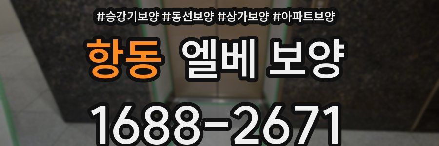 항동 엘베 보양
