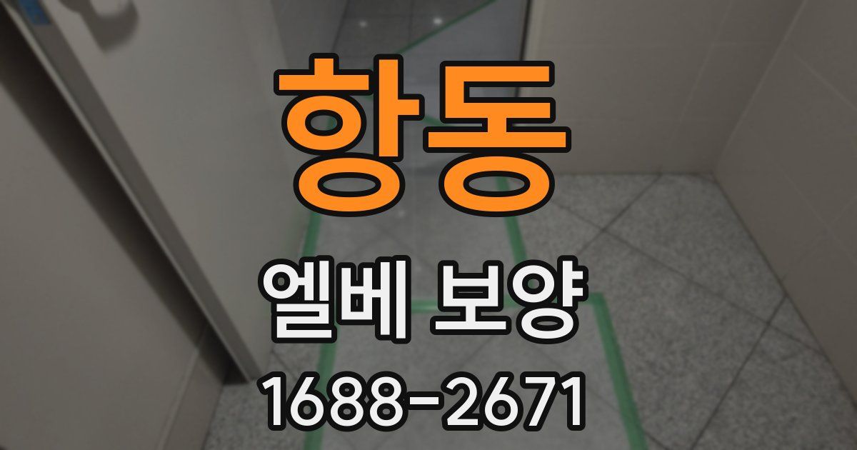 항동 엘베 보양