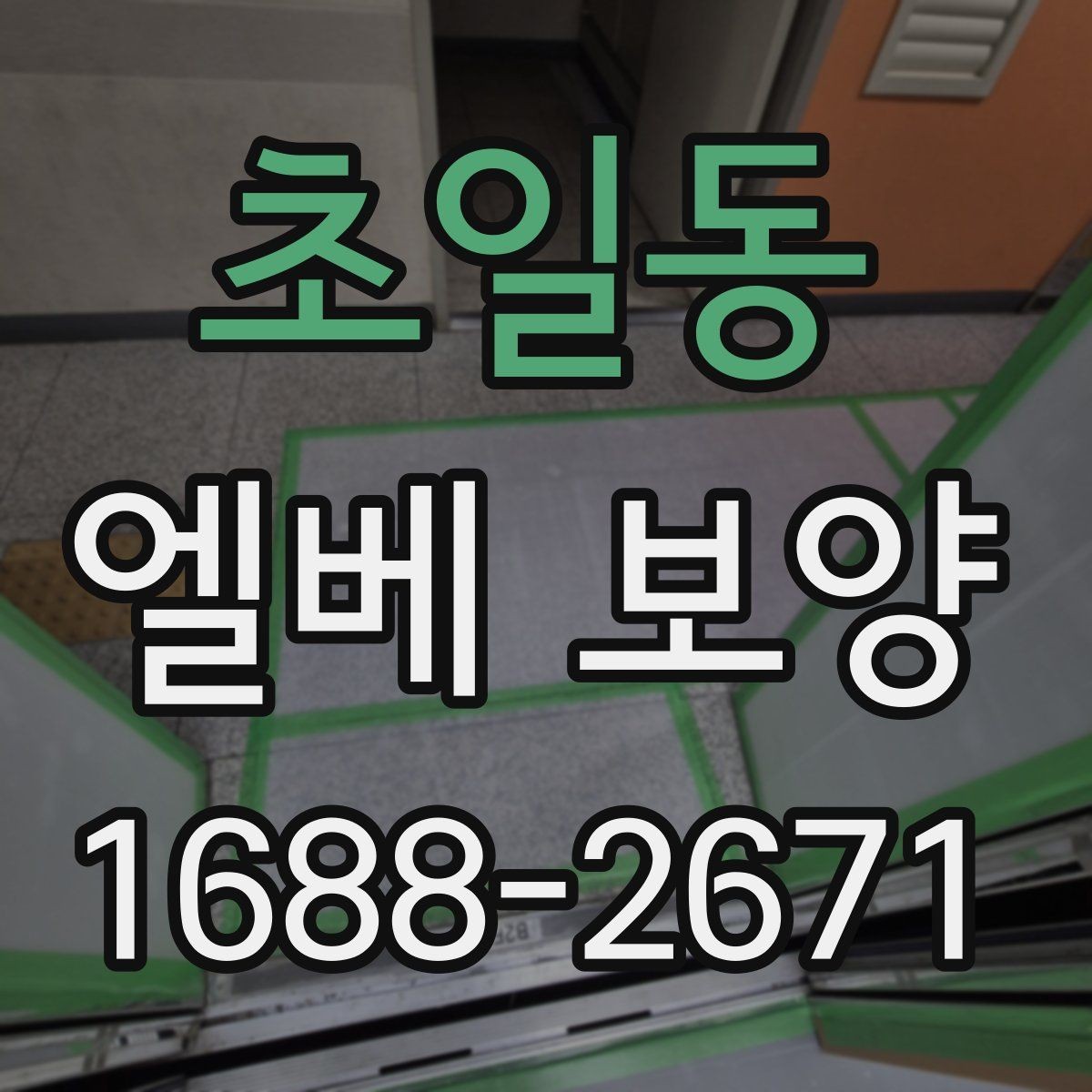 초일동 엘베 보양 견적이 달라지는 요소와 확인할 점