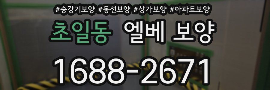초일동 엘베 보양