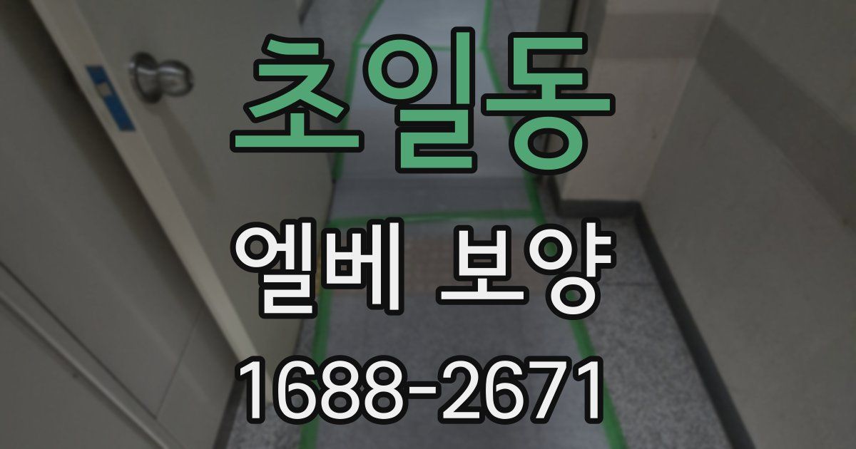 초일동 엘베 보양