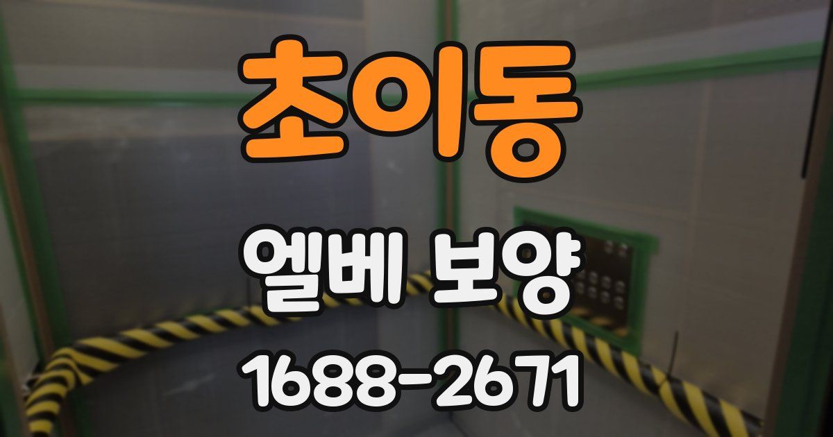 초이동 엘베 보양