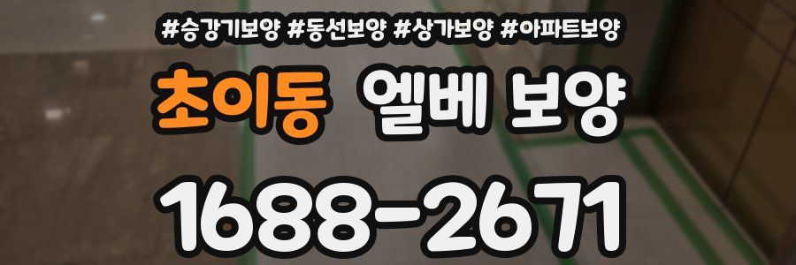 초이동 엘베 보양