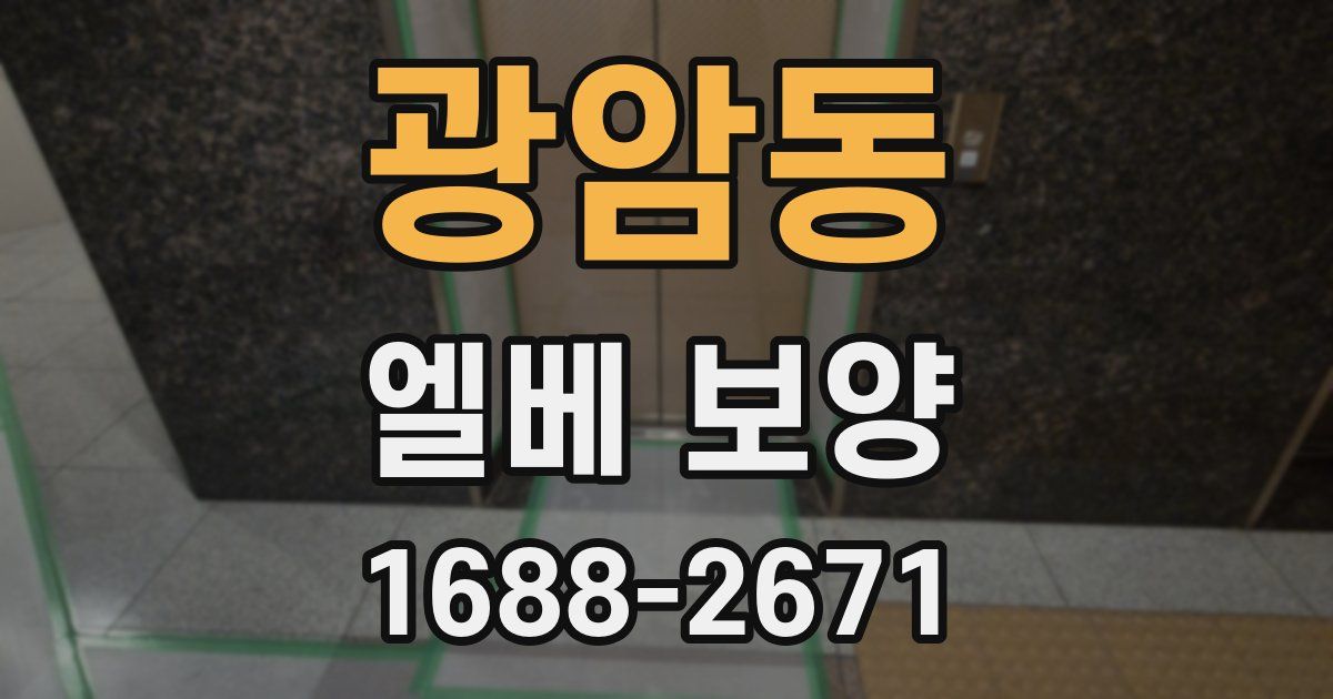 광암동 엘베 보양