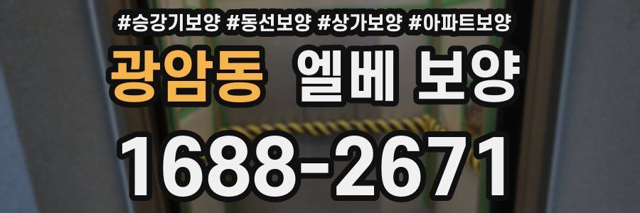 광암동 엘베 보양