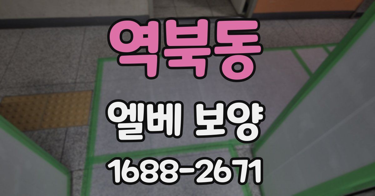 역북동 엘베 보양