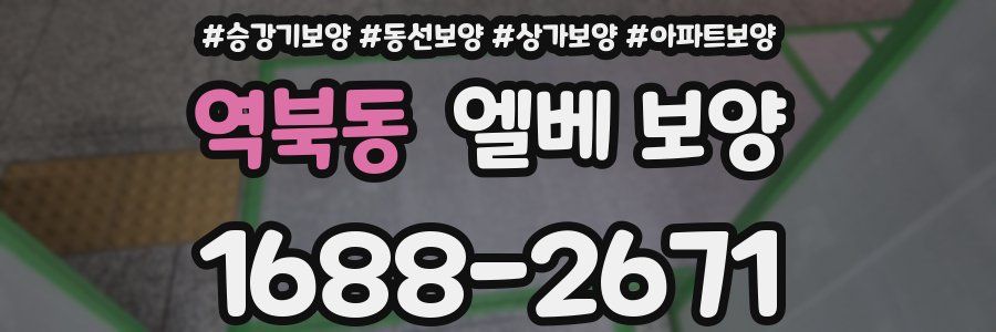 역북동 엘베 보양