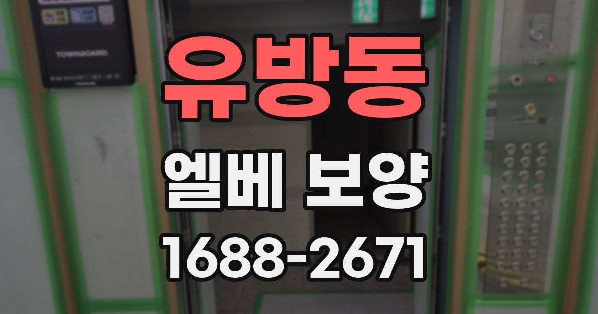 유방동 엘베 보양
