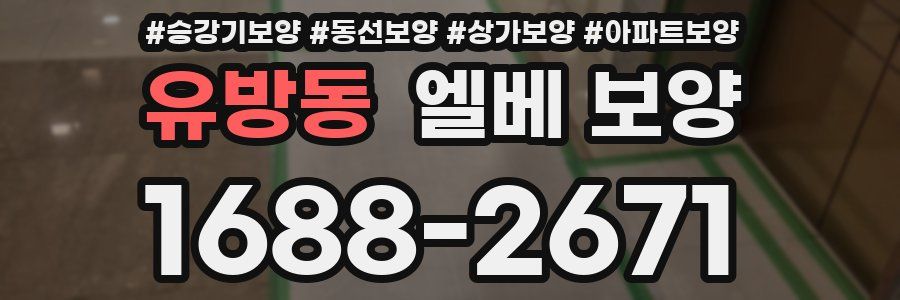 유방동 엘베 보양