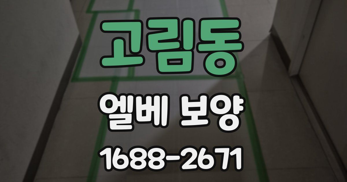 고림동 엘베 보양