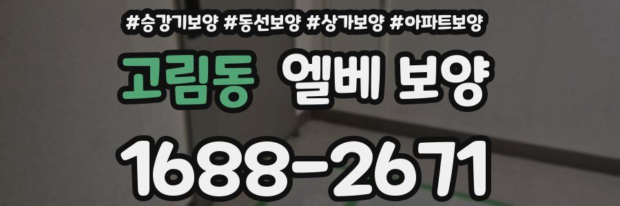 고림동 엘베 보양