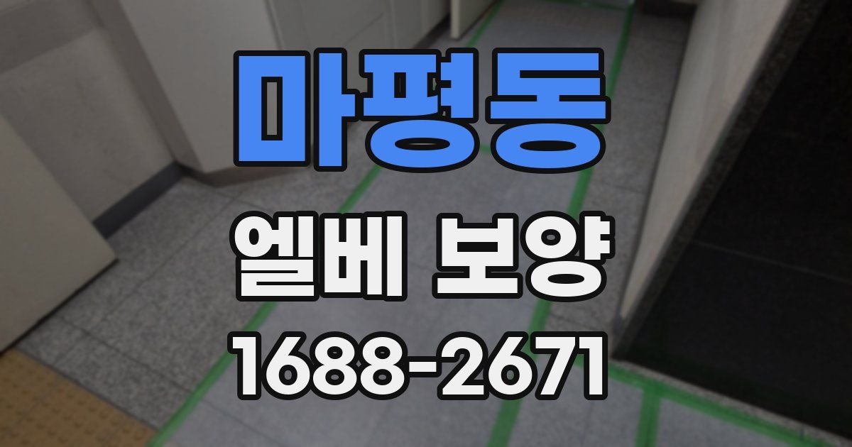 마평동 엘베 보양
