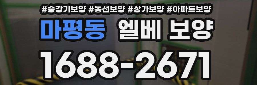 마평동 엘베 보양
