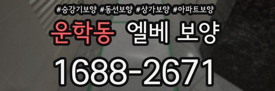 운학동 엘베 보양