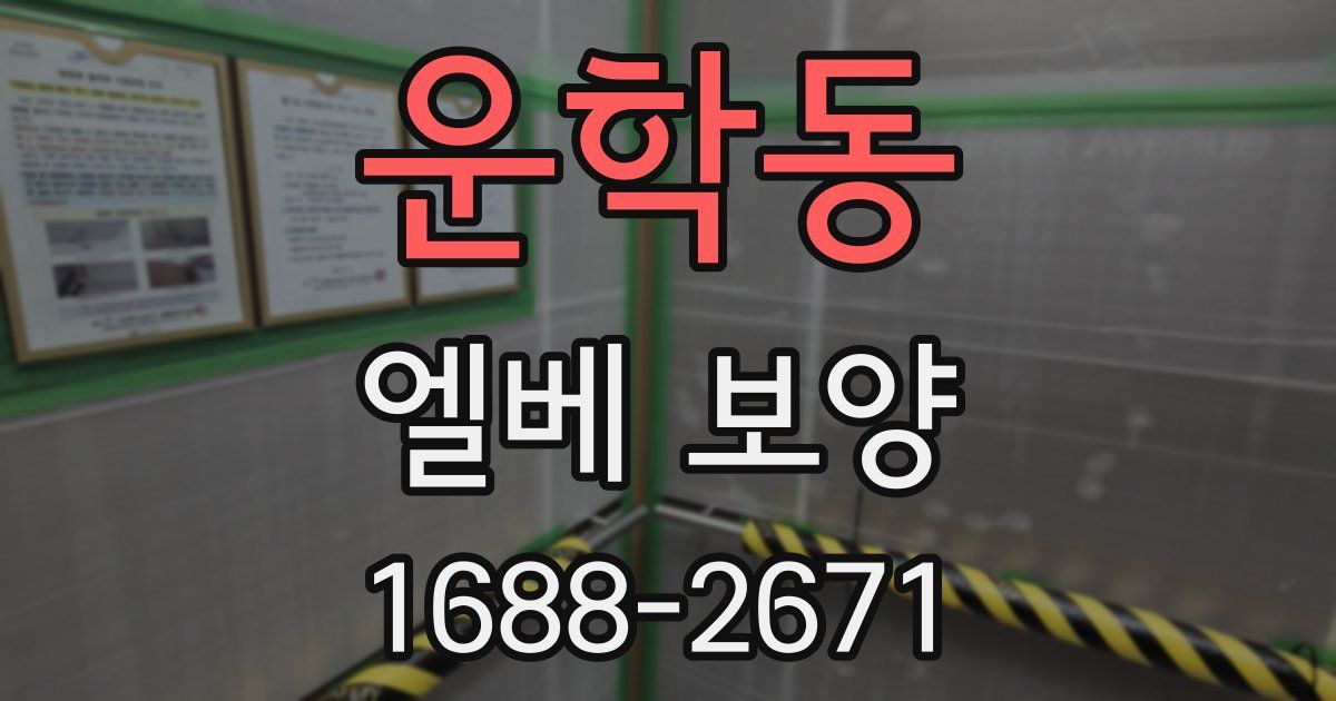 운학동 엘베 보양