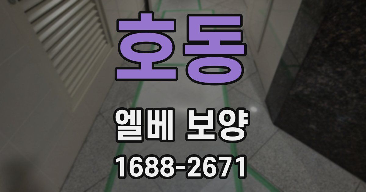 호동 엘베 보양