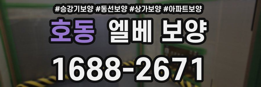 호동 엘베 보양