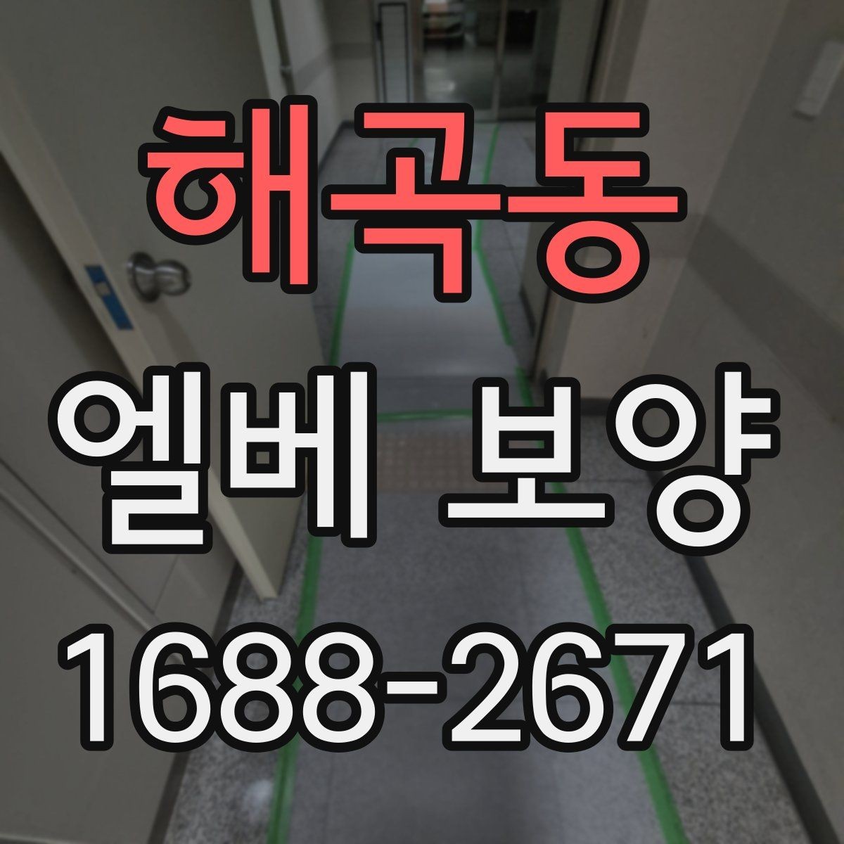 해곡동 엘베 보양 작업자 이동 많은 현장에 맞춘 동선 대응법