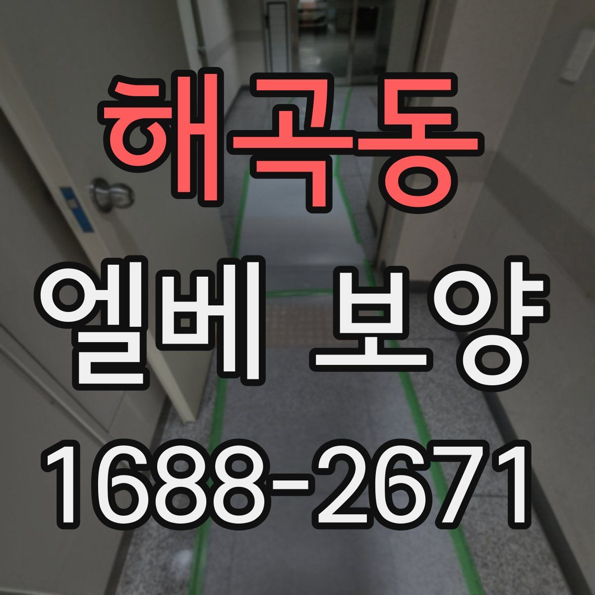 해곡동 엘베 보양