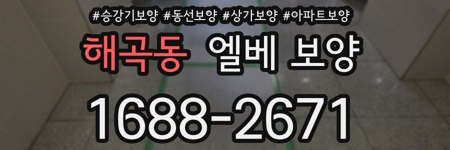 해곡동 엘베 보양