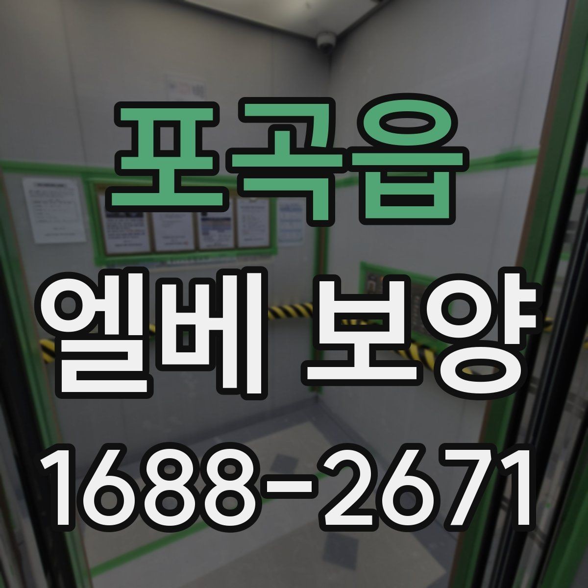 포곡읍 엘베 보양 사진 기록이 필요한 순간과 관리 방법