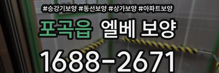 포곡읍 엘베 보양