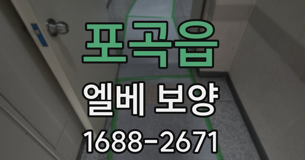 포곡읍 엘베 보양