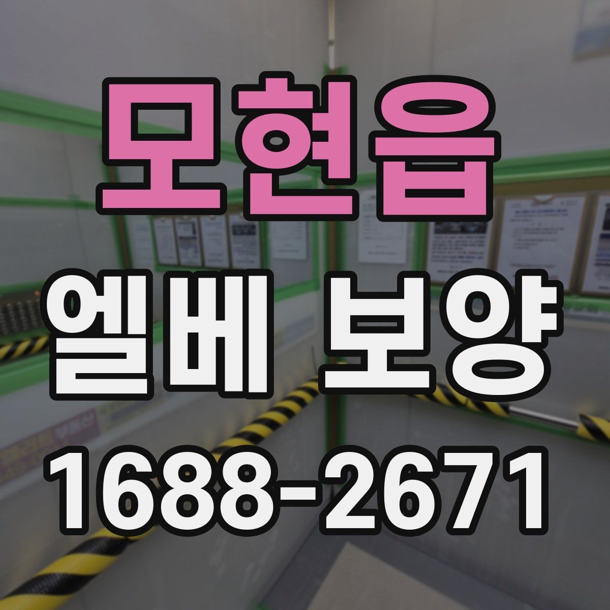 모현읍 엘베 보양 보행 동선이 복잡한 현장 확인 포인트