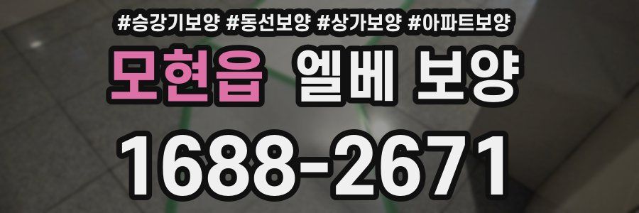 모현읍 엘베 보양