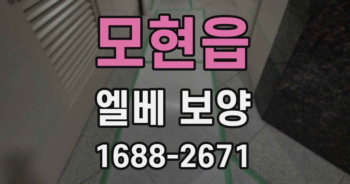모현읍 엘베 보양